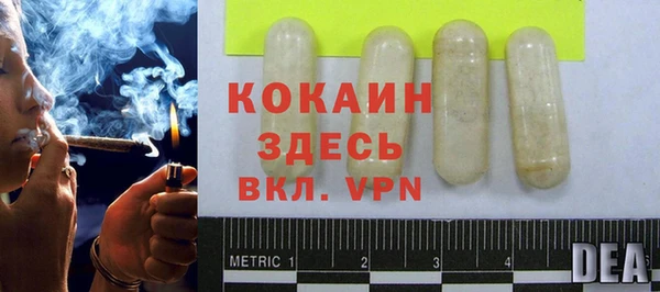 шишки Балахна