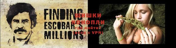 шишки Балахна