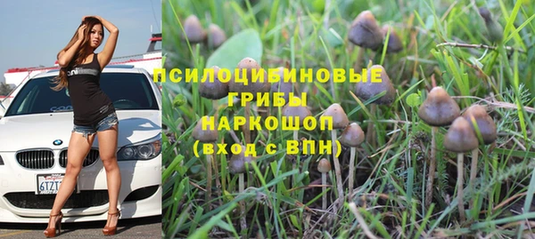 эйфоретик Аркадак