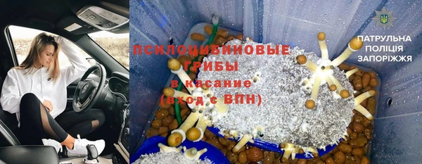 шишки Балахна
