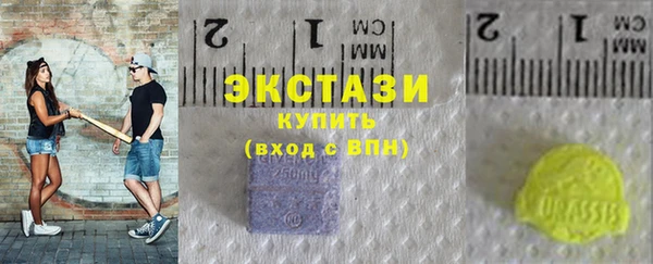 прущие грибы Новозыбков