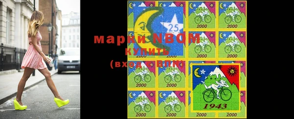 шишки Балахна