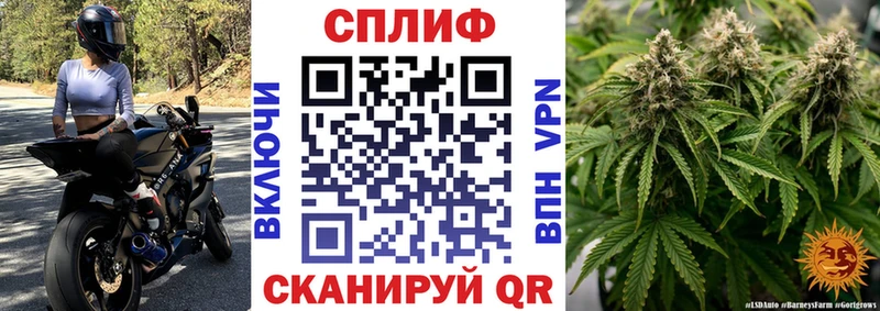 Бошки Шишки планчик Озёрск